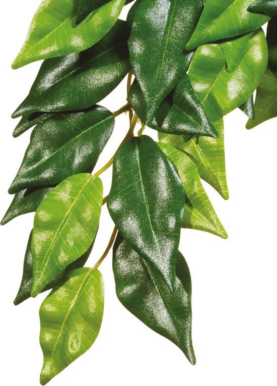 Exo Terra Ficus Silk L