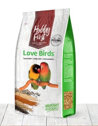 Dwergpapegaai 4KG HF King Pure Love Birds