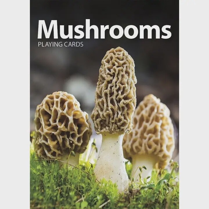 Playing Cards by Adventure Keen, style: mushroom