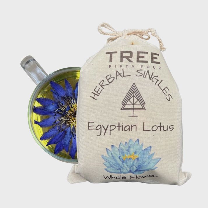 Egyptian Blue Lotus - Whole Flower