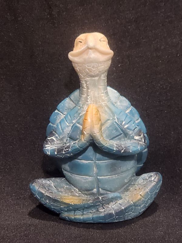 Meditation turtle