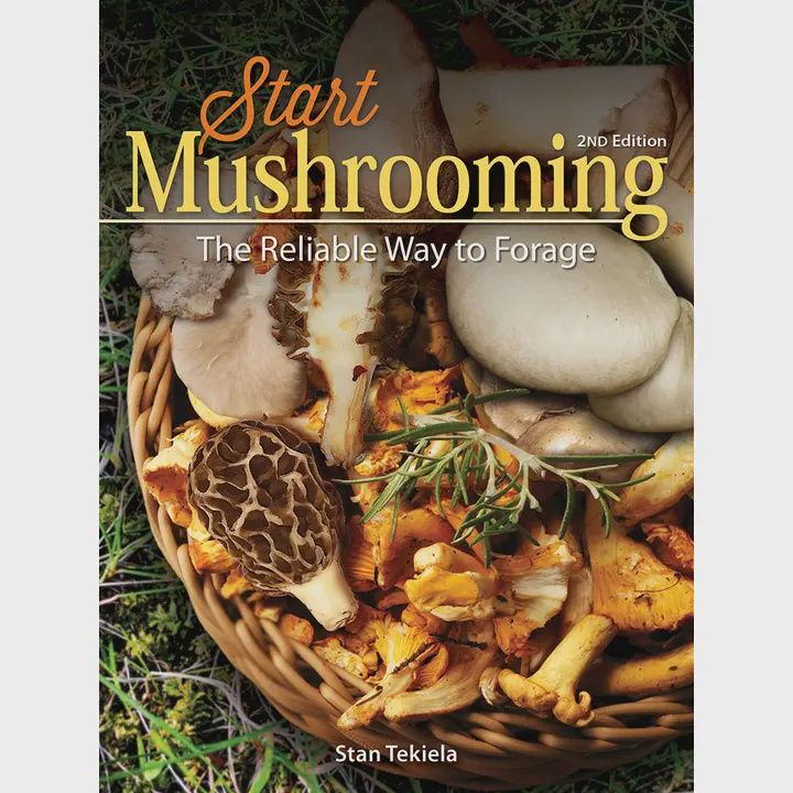 Start Mushrooming