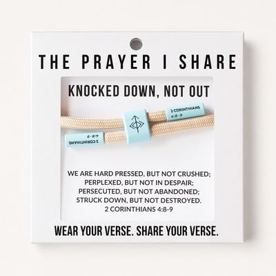 The Prayer Share - Knocked Down Not Out - SAND