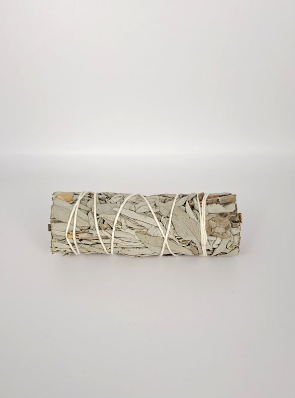 Sauge Blanche Apiana Californie - Fagot-11cm