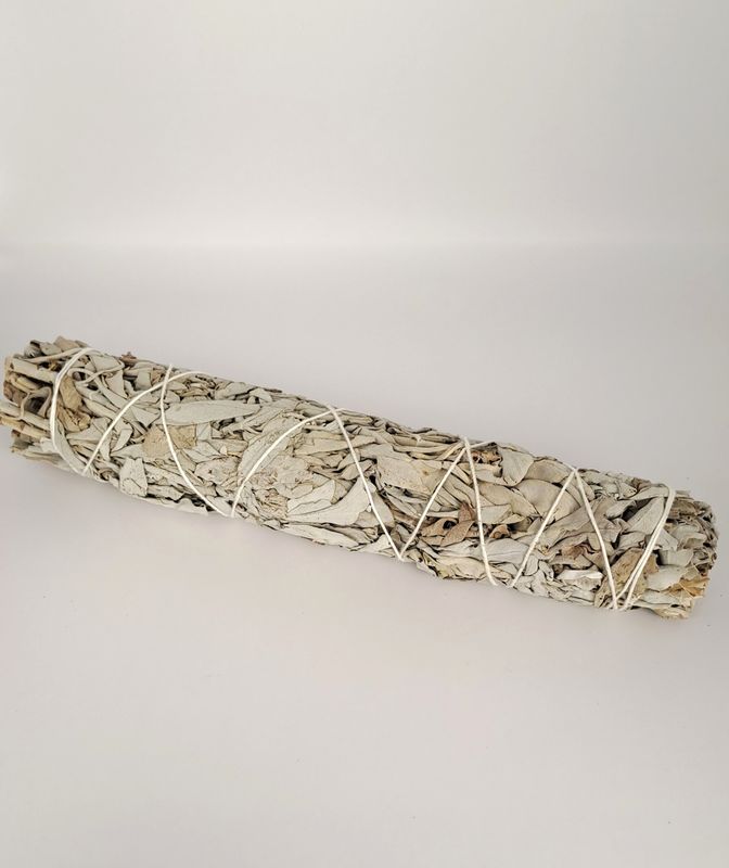 Sauge Blanche de Californie - Fagot-21cm