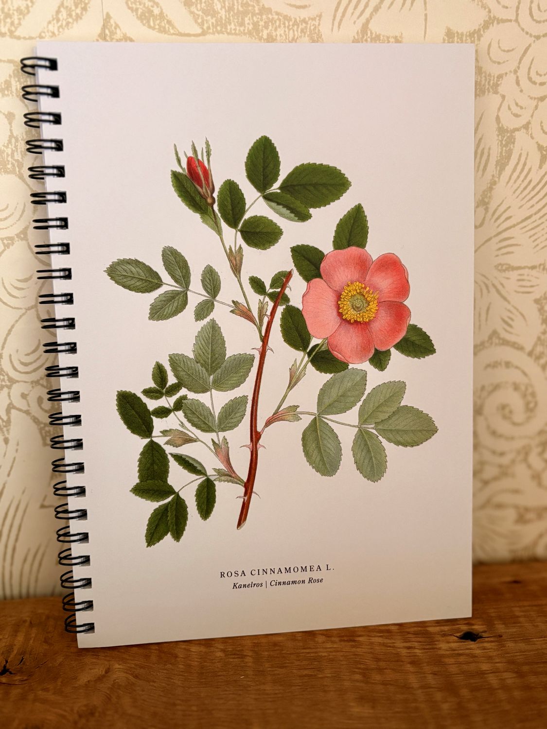 Cahier Rose ancienne et songes d’encre