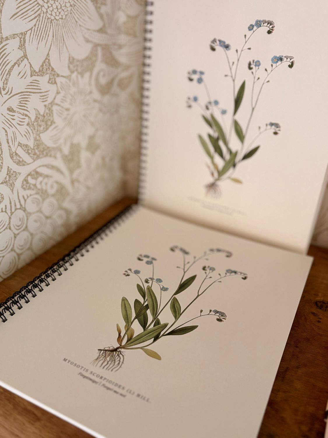 Cahier Myosotis – Pour ne rien oublier