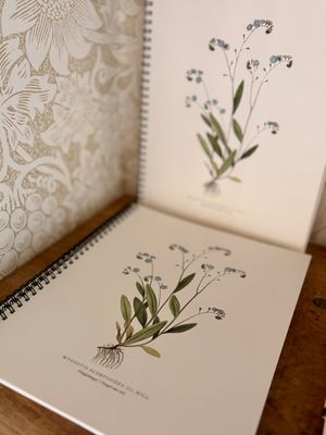 Cahier Myosotis – Pour ne rien oublier