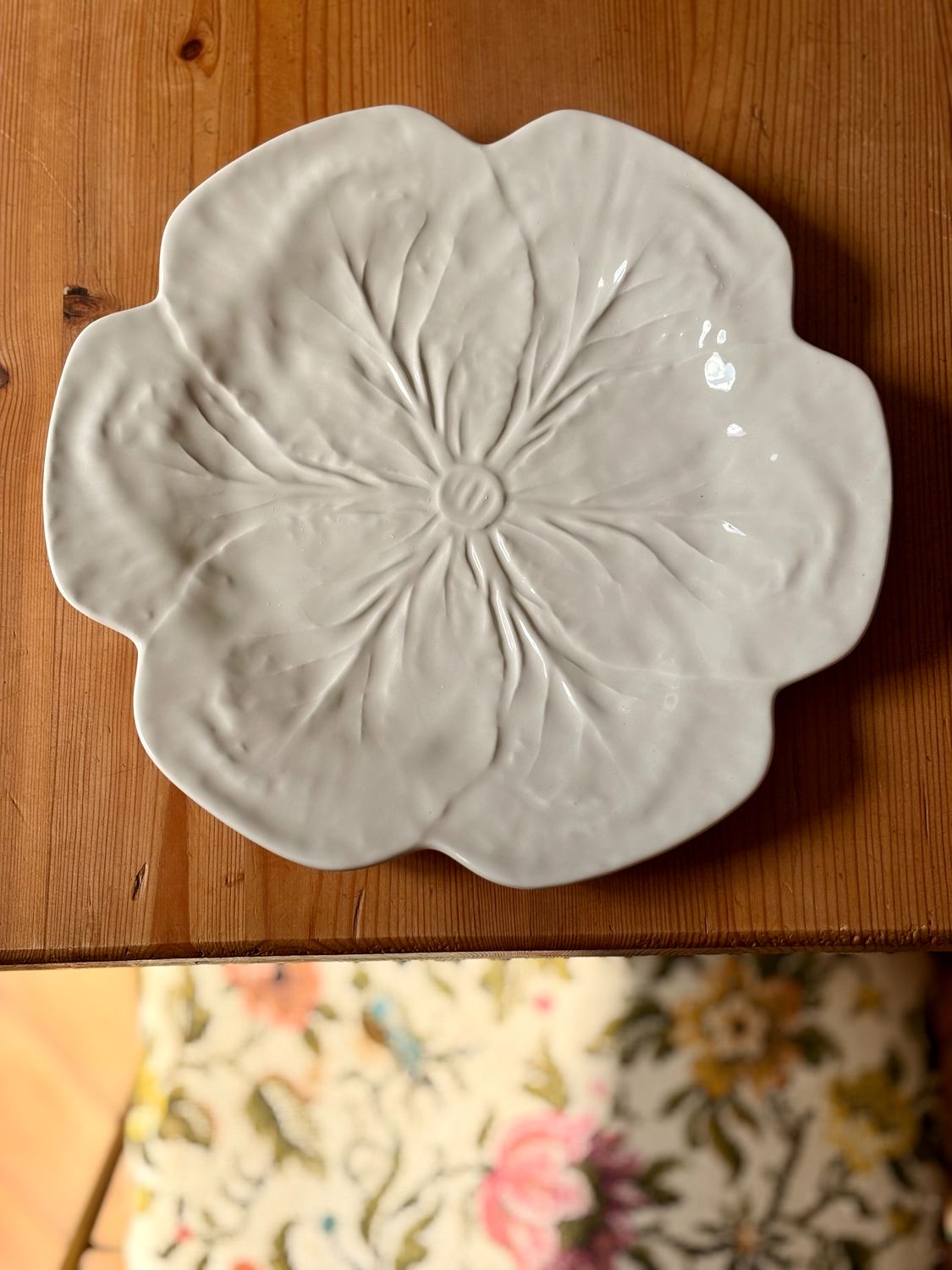 Assiette chou blanche