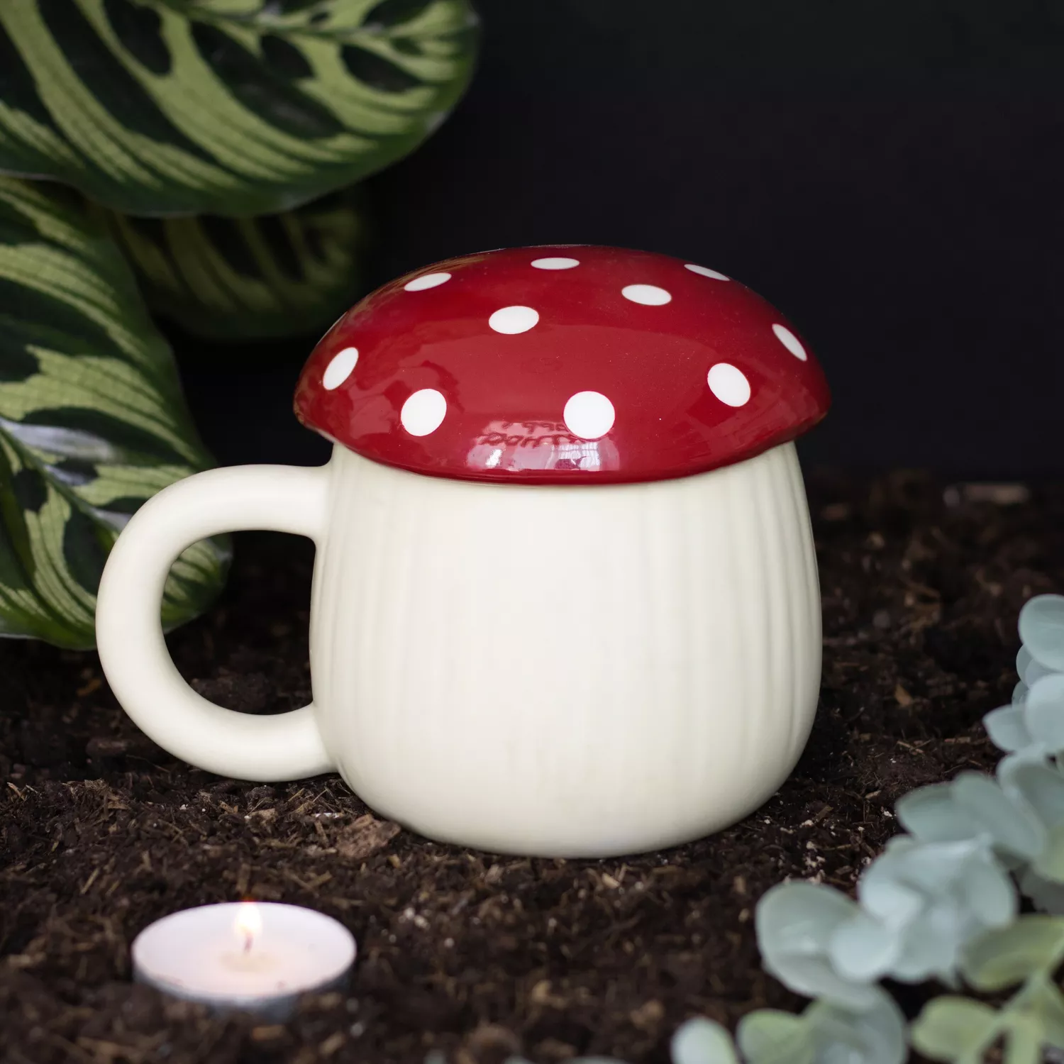 Tasse Harry