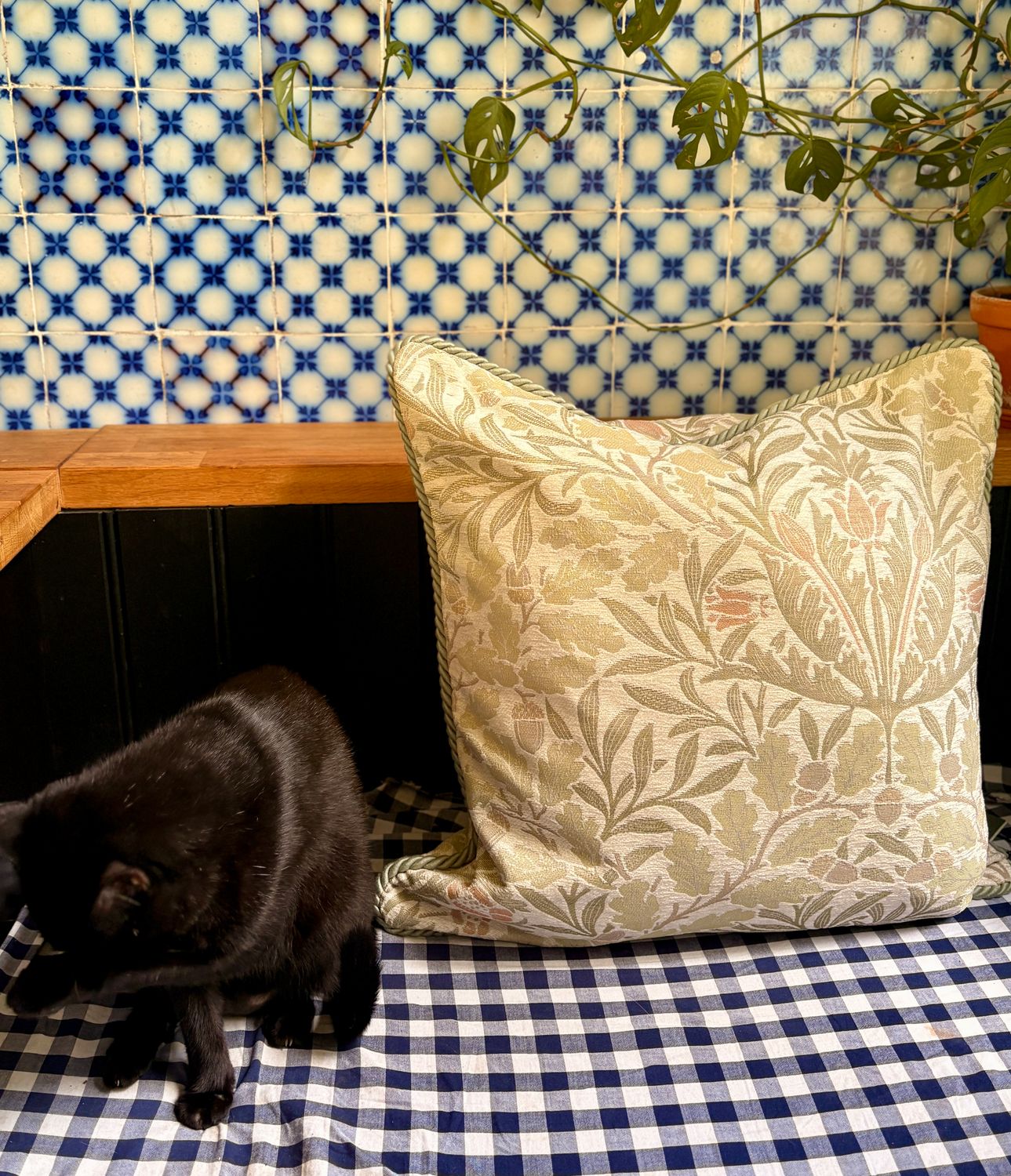 Housse de coussin Alexander