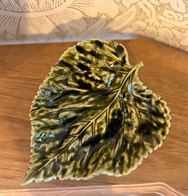Feuille de bouleau verte