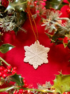 Flocon de Neige Miss Frost