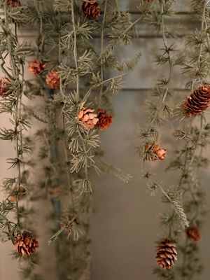 Guirlande Lord Cedar