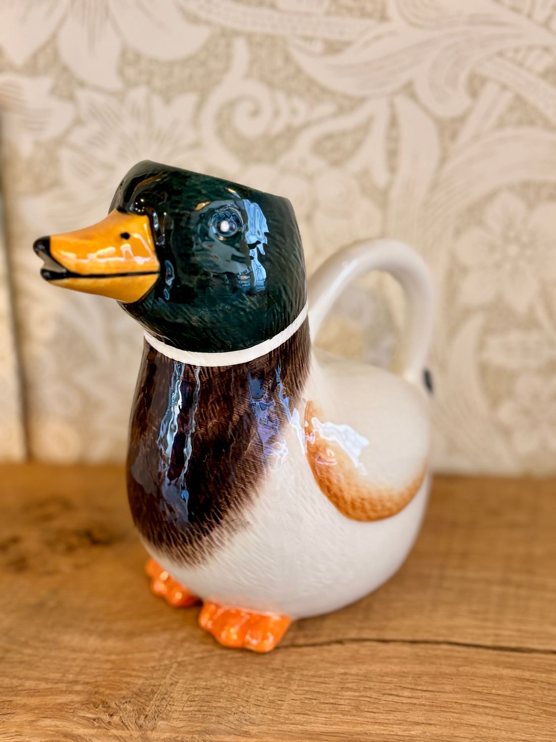 Malard l'arrosoir Canard Colvert
