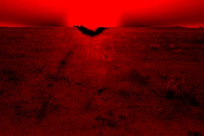 Desert Poster