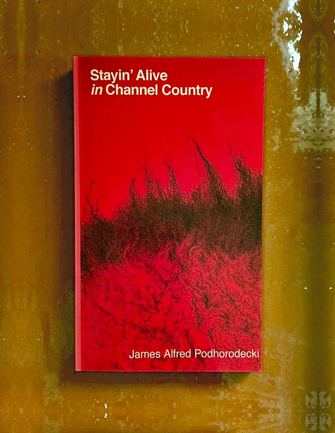 Stayin' Alive in Channel Country