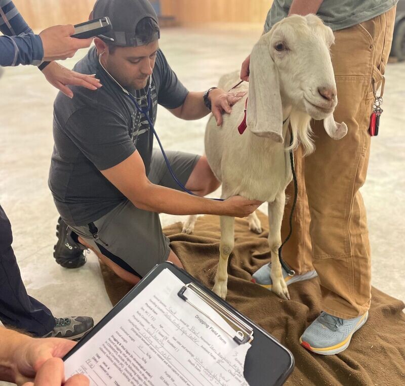 Wildlife Handling and Chemical Immobilization - Yakama Nation