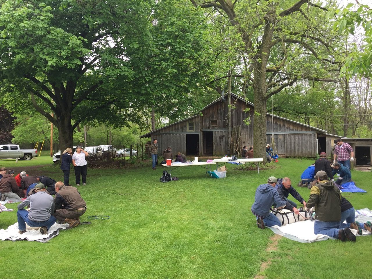 Wildlife Handling and Chemical Immobilization - East Lansing,  Michigan