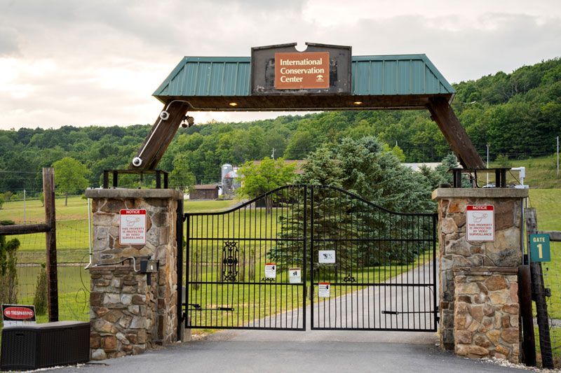Wildlife Handling and Chemical Immobilization - International Conservation Center near Fairhope, PA