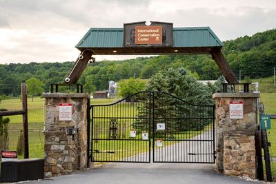 Wildlife Handling and Chemical Immobilization - International Conservation Center near Fairhope, PA