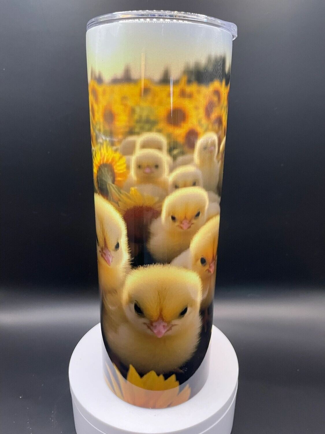 Baby Chickens and Sunflowers
