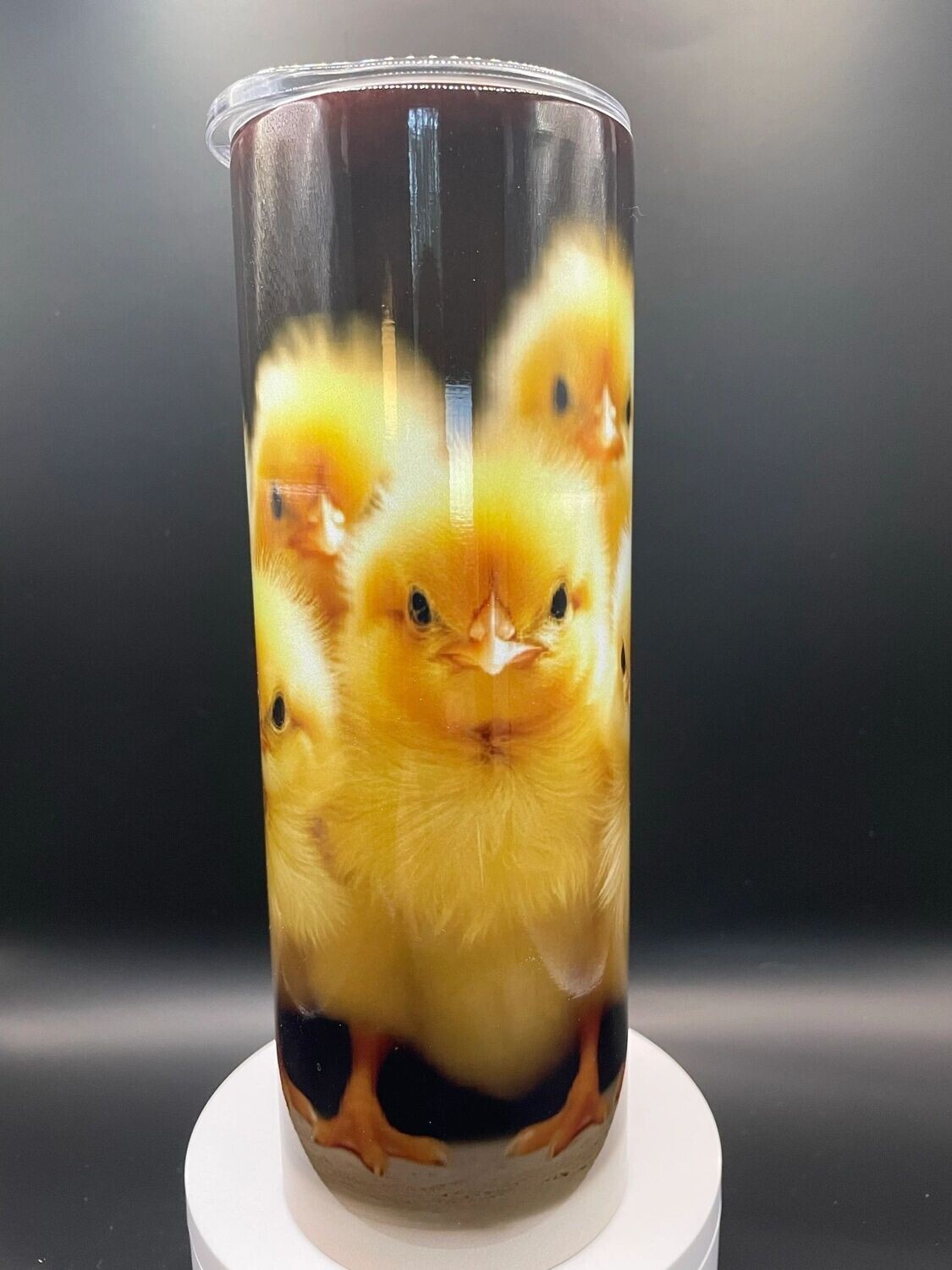 Bunch of baby chickens 1
