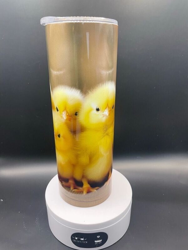 Group of Baby Chicks LB