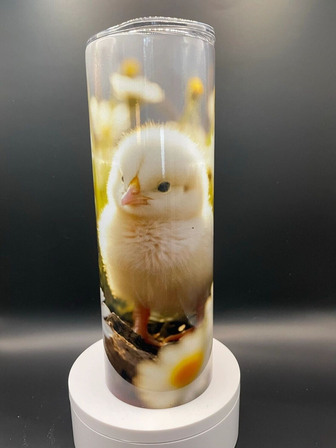 Baby Chicken with Daisies