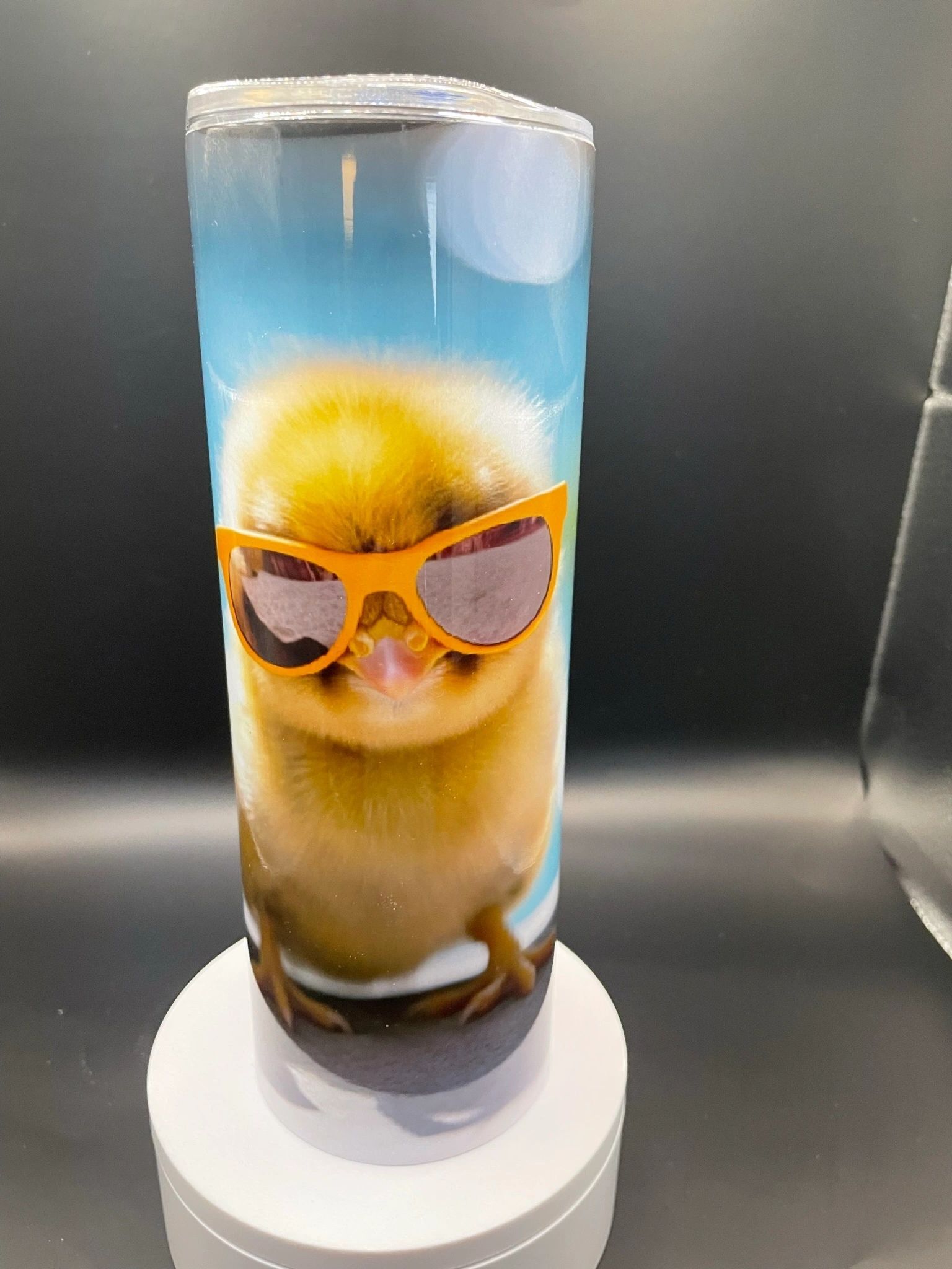 2 Chickens with Glasses