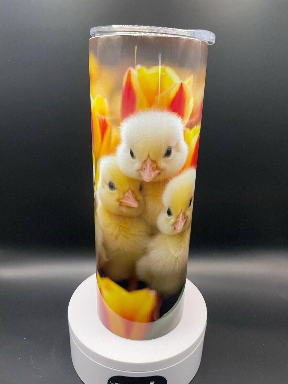 Baby Chickens with Red Tulips