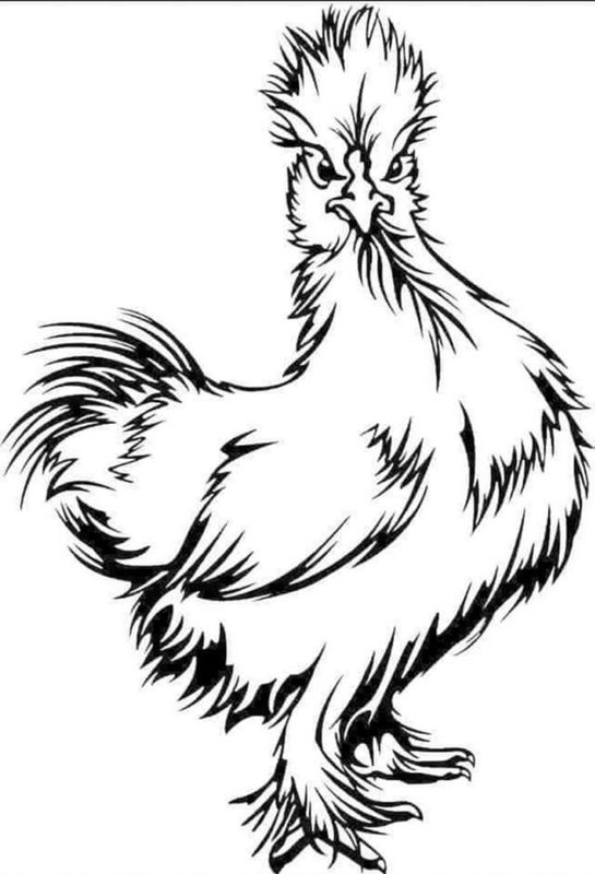 Chicken Line drawing