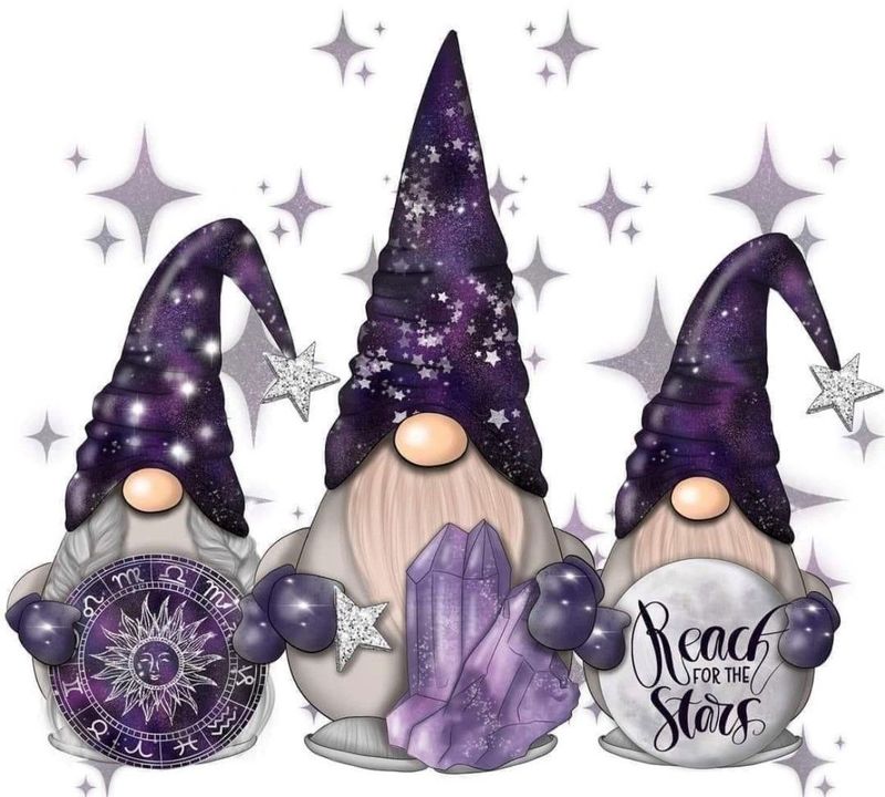 Reach for the stars Gnomes