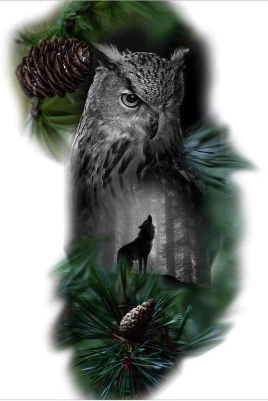 Owl and Wolf