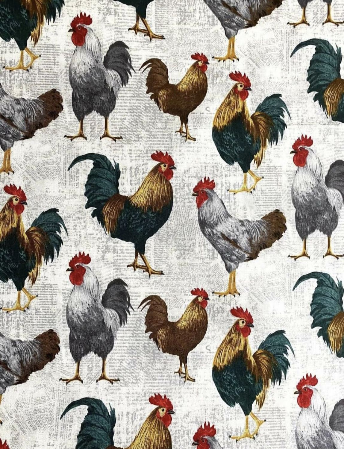 Roosters, Chickens