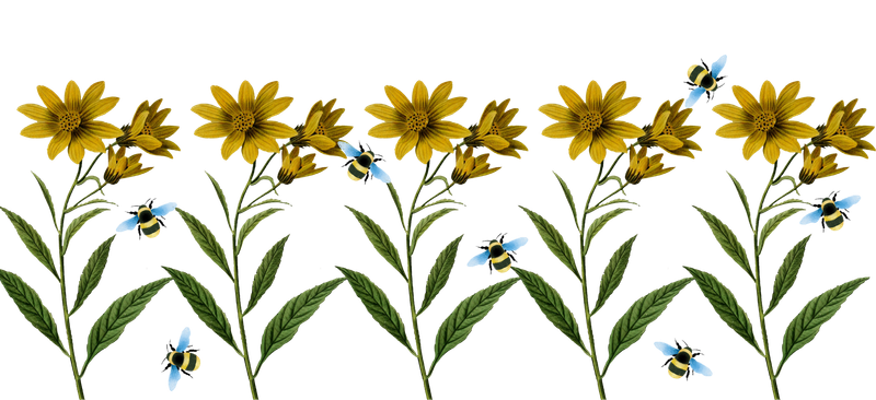 Sunflowers and Bees