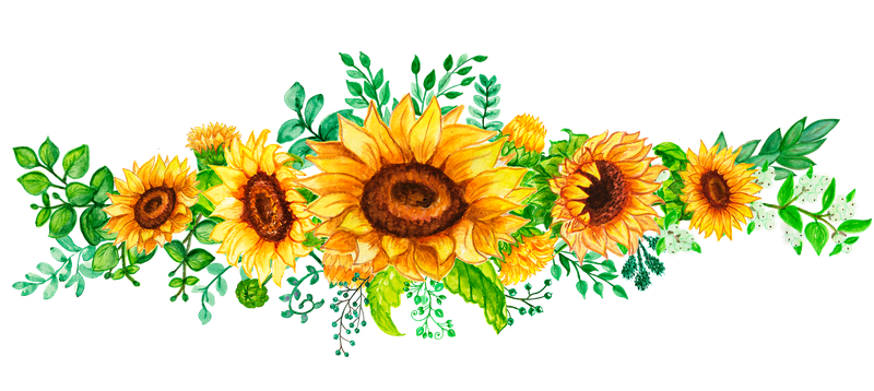 Sunflowers - Frosted Glass