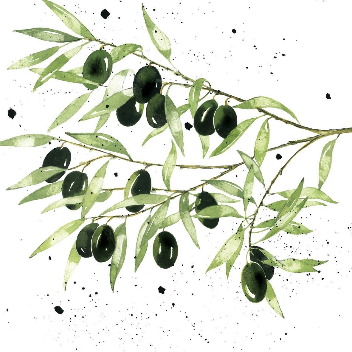 Olives - 33x33cm