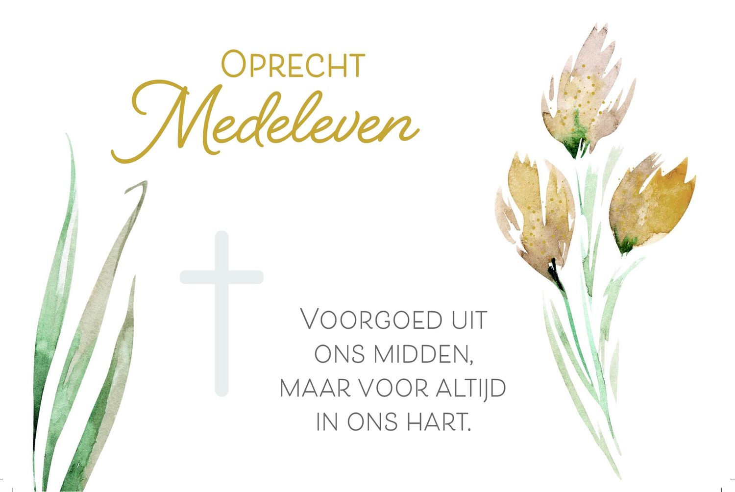 Oprecht Medeleven