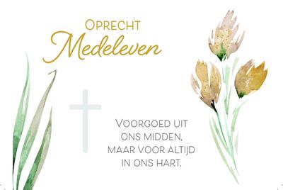 Oprecht Medeleven