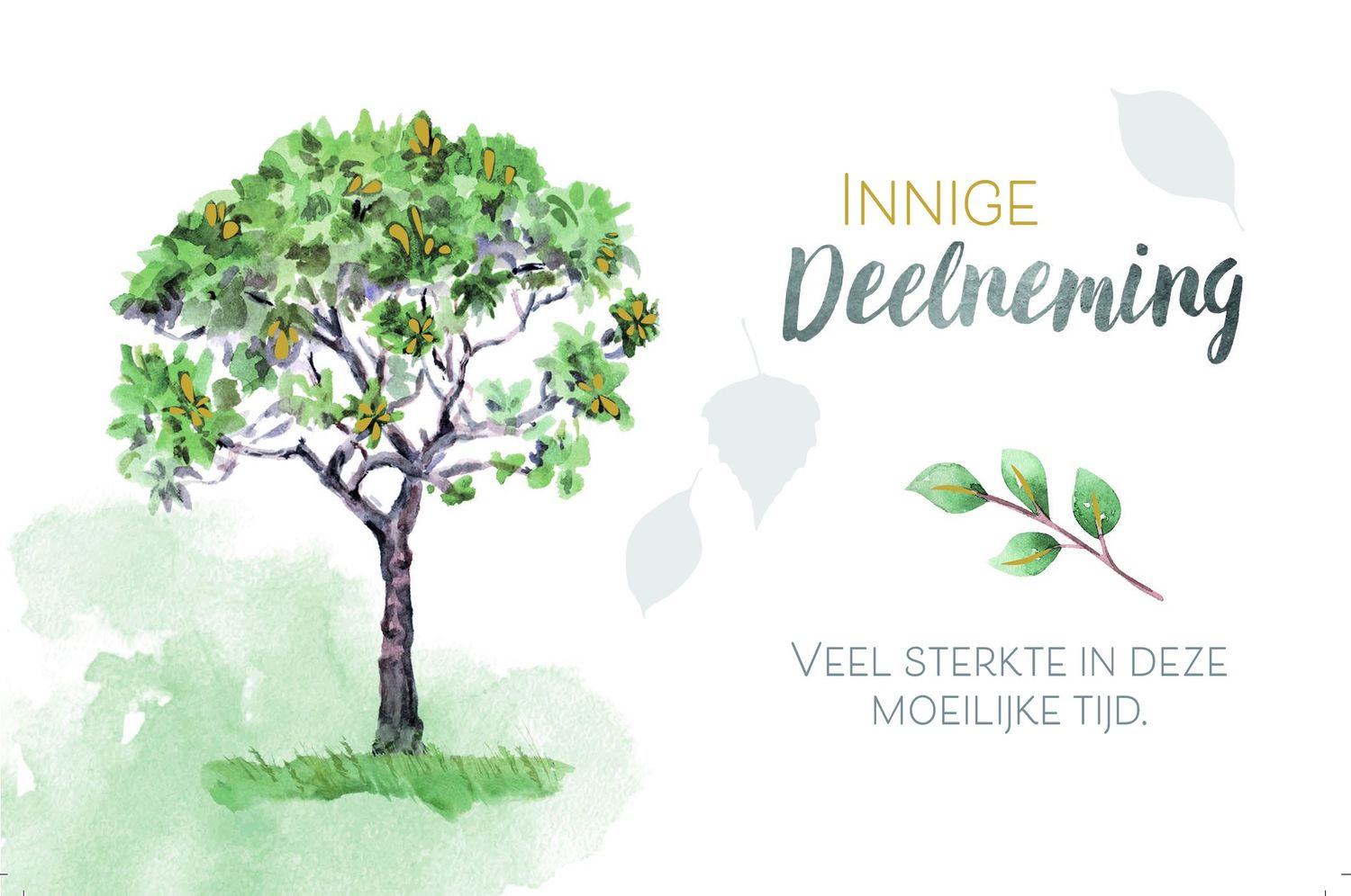 Innige Deelneming