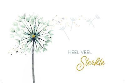 Sterkte