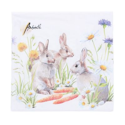 Paashaas met Wortel - 33x33cm