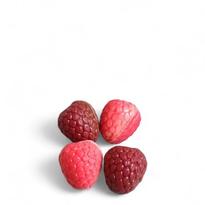 Zakje chocolade framboosjes - 125gr