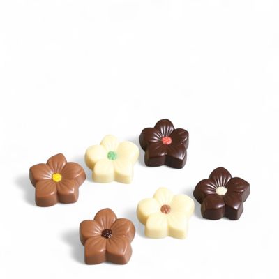 Zakje chocolade viooltjes - 150gr