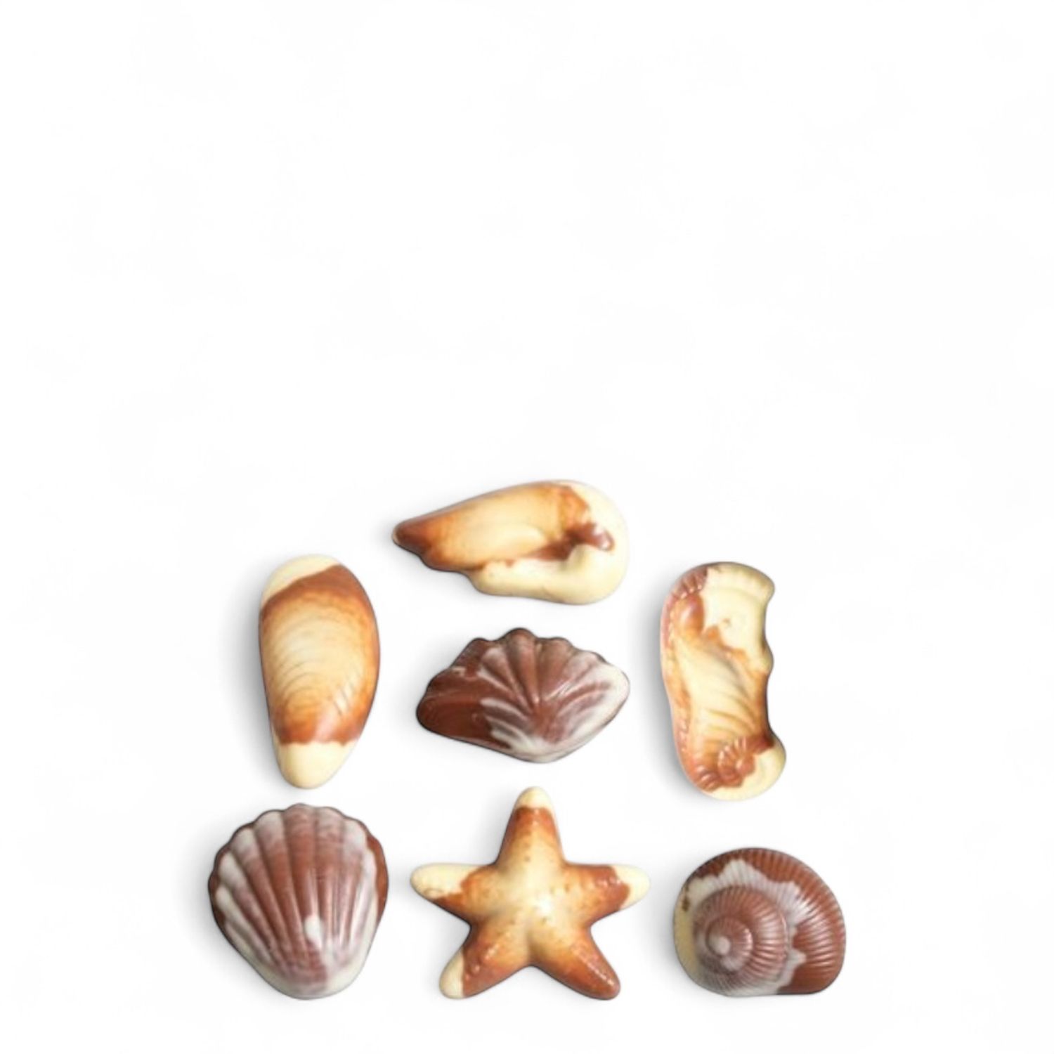 Zeevruchten chocolade - Melk &amp; Wit Gemarmerd - 165gr
