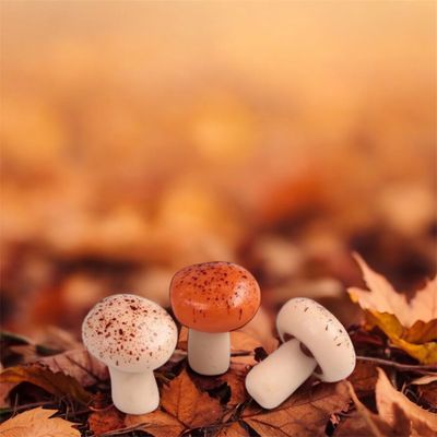 Marsepeinen Paddestoelen - 160gr