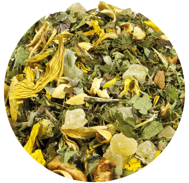 Pure Gember Thee - 100gr