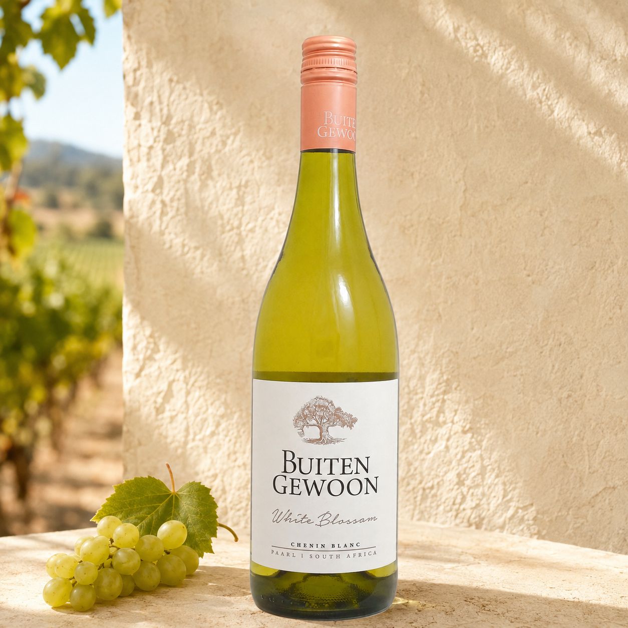Buitengewoon White Blossom Chenin Blanc - Zuid-Afrika - 75cl