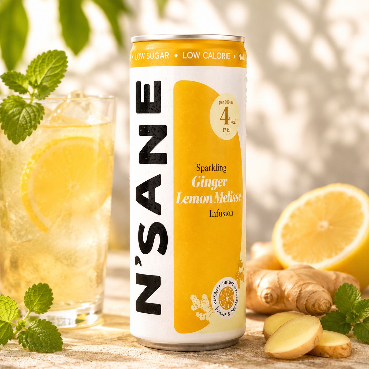 N'Sane Gember &amp; Limoen - 25cl